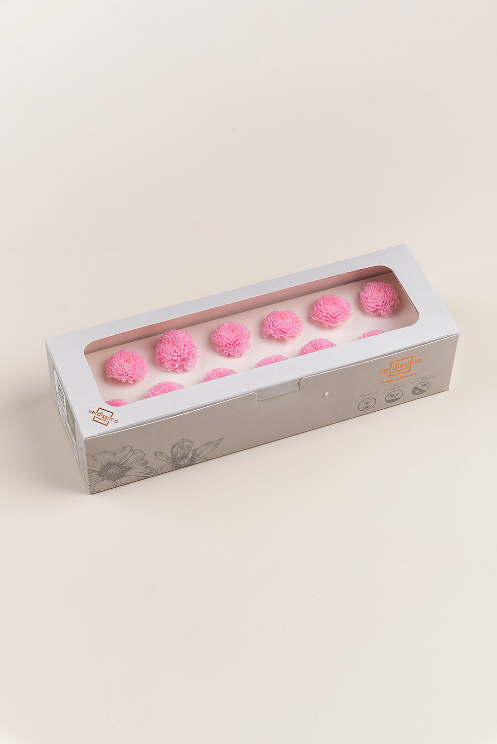 Focus Chrysanthemum - Box 12 heads