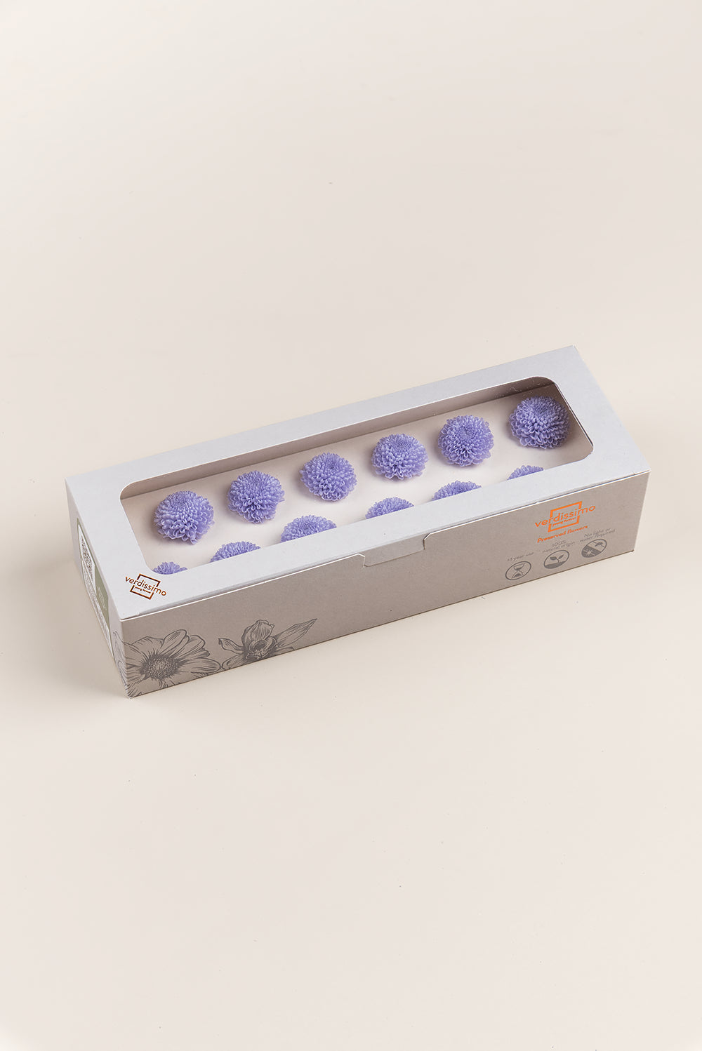 Focus Chrysanthemum - Box 12 heads