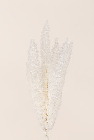 Foxtail