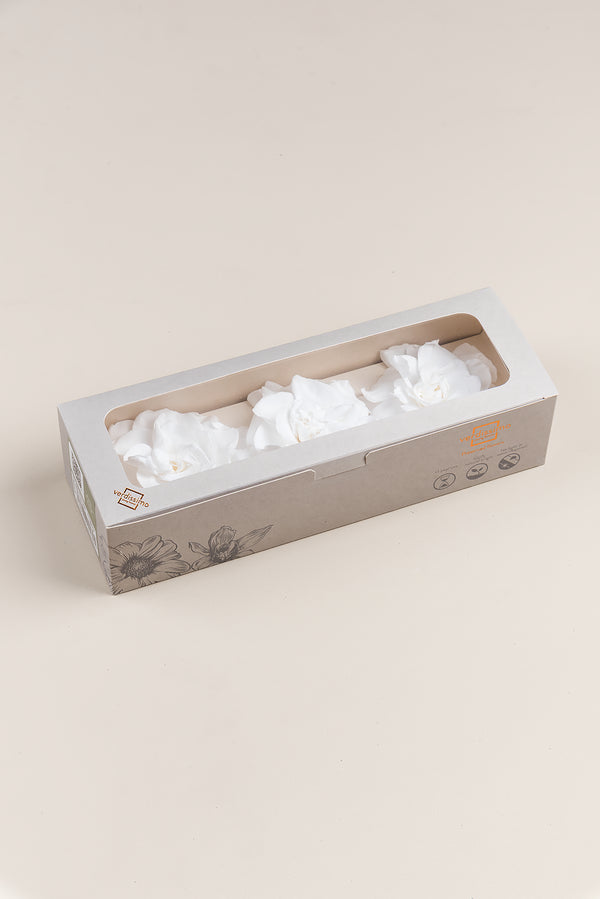 Gardenia - Caja 3 cabezas