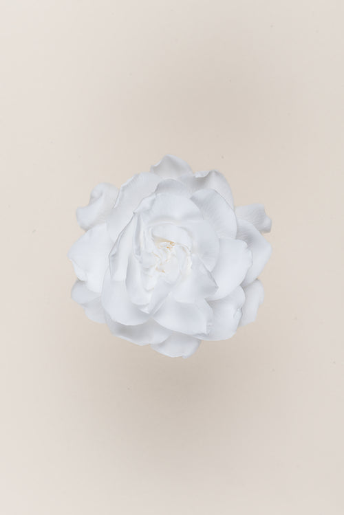 Gardenia - Box 3 heads