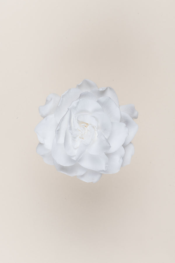 Gardenia - Caja 3 cabezas