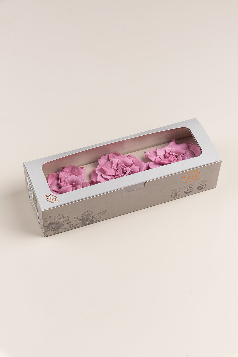 Gardenia - Box 3 heads