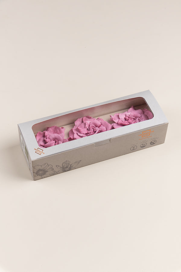 Gardenia - Caja 3 cabezas