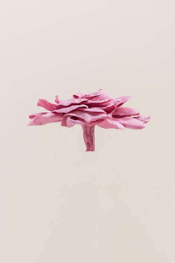 Gardenia - Caja 3 cabezas