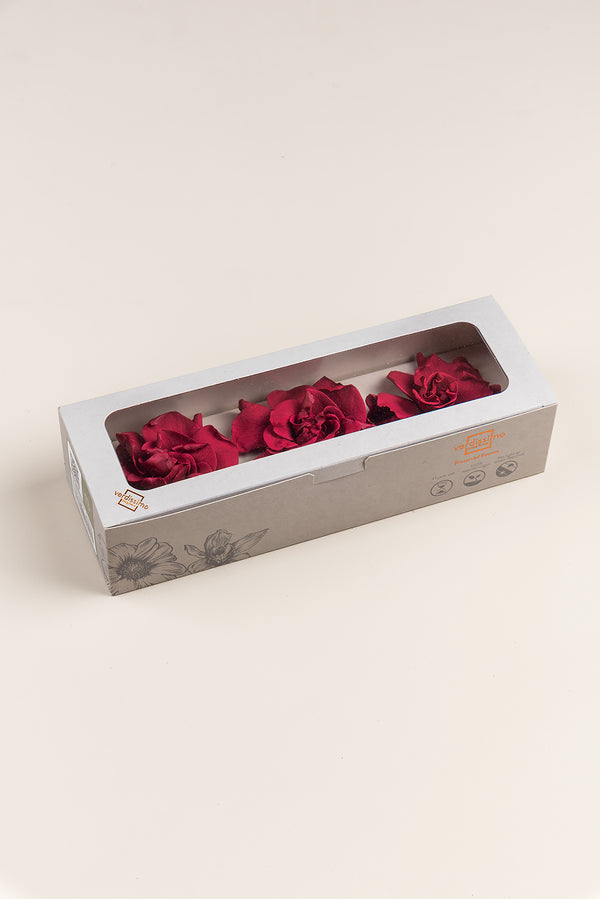 Gardenia - Caja 3 cabezas