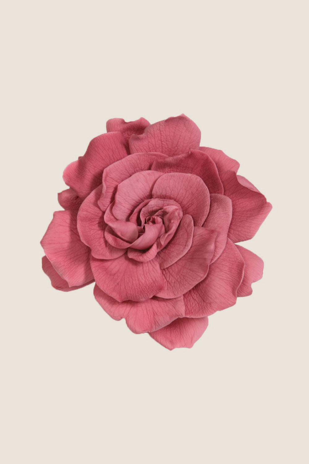Gardenia - Box 3 heads