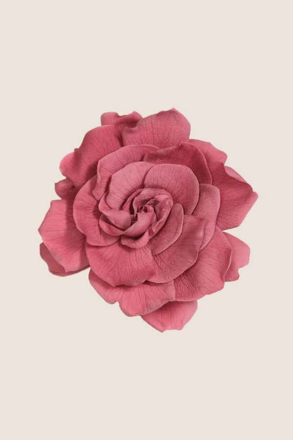 Gardenia - Caja 3 cabezas