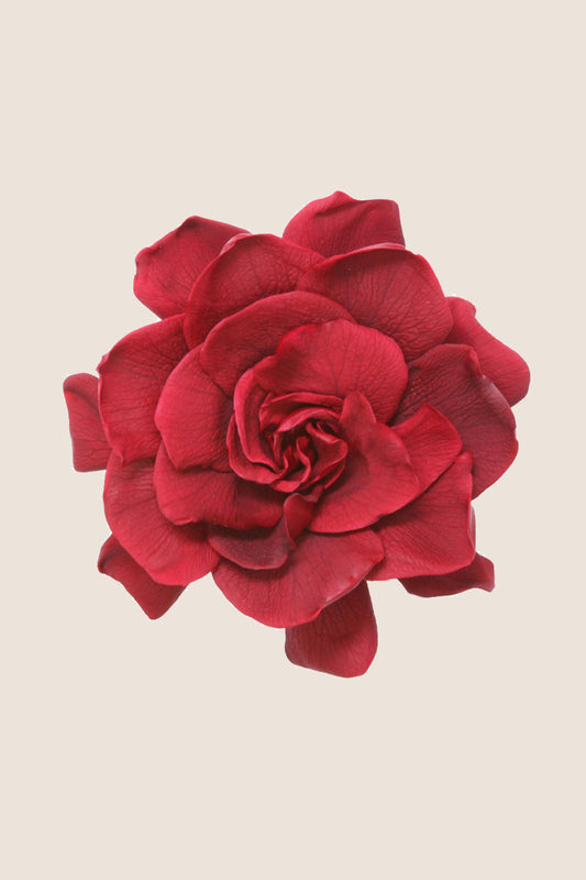 Gardenia - Box 3 heads