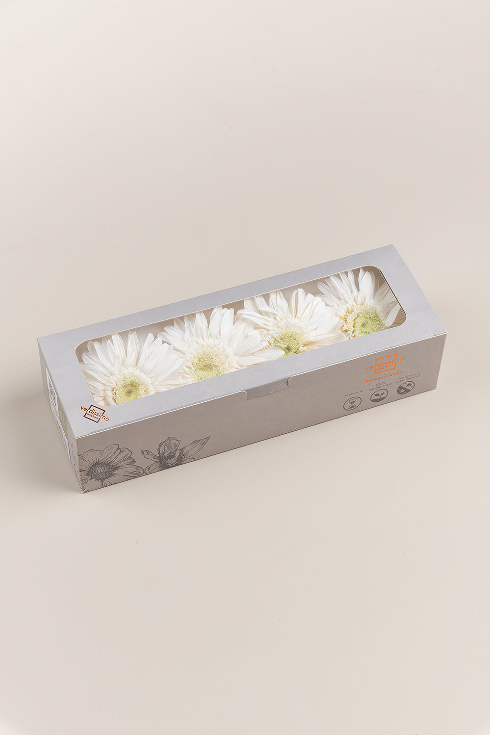 Gerbera - Kiste mit 4 Blütenköpfen