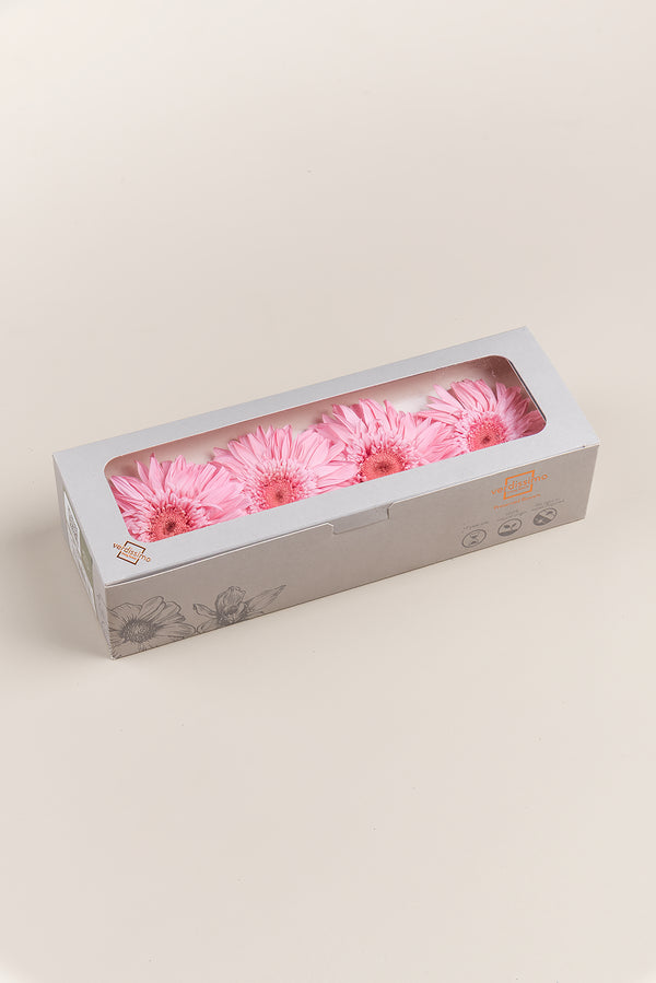 Gerbera - Box 4 heads