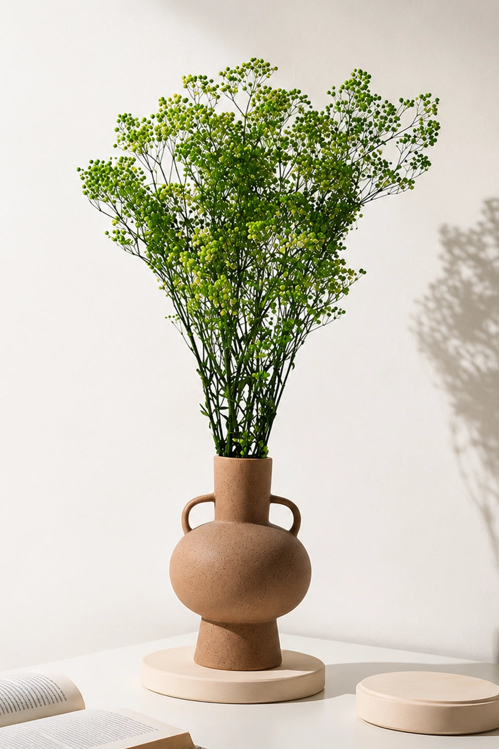 Paniculata