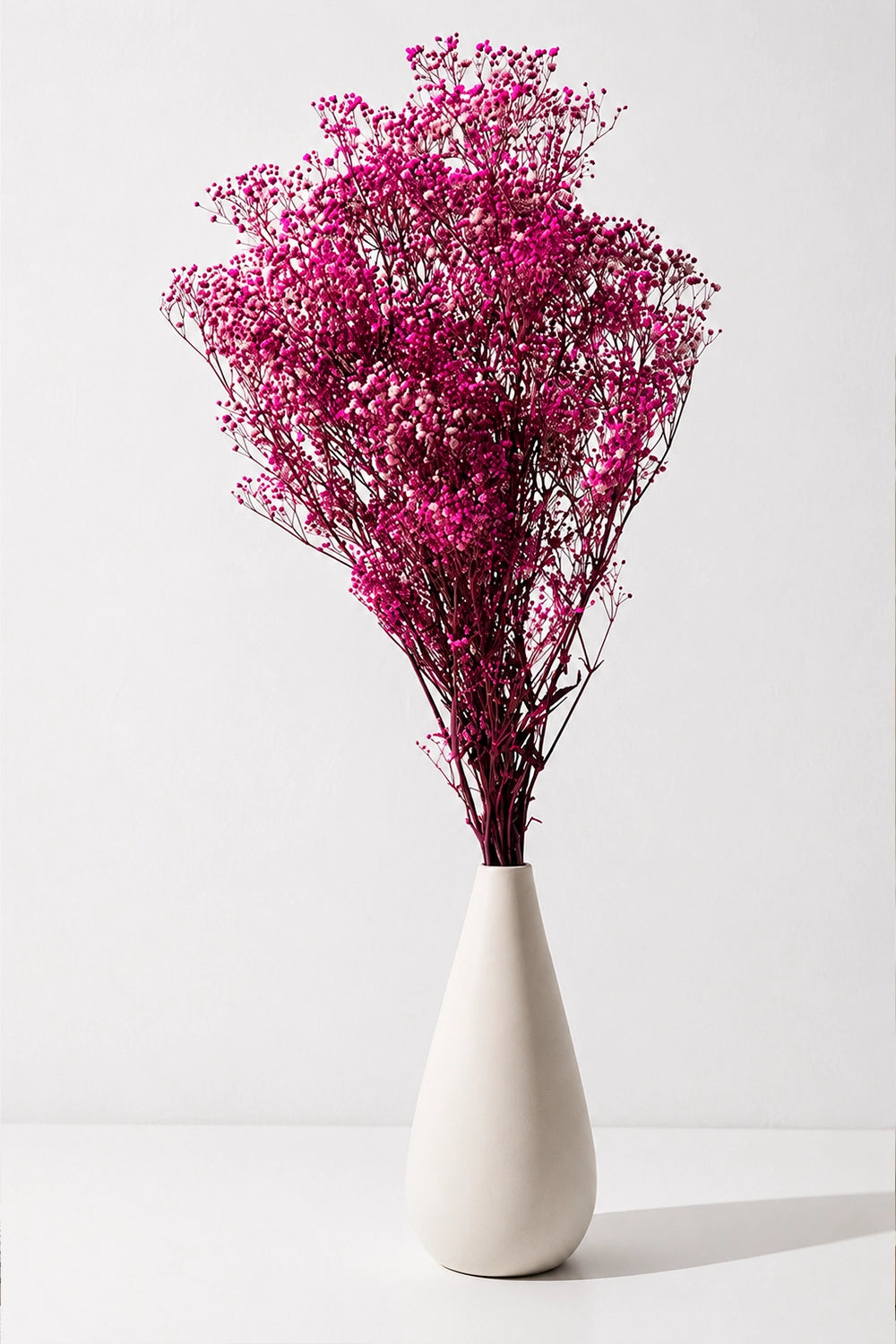 Paniculata