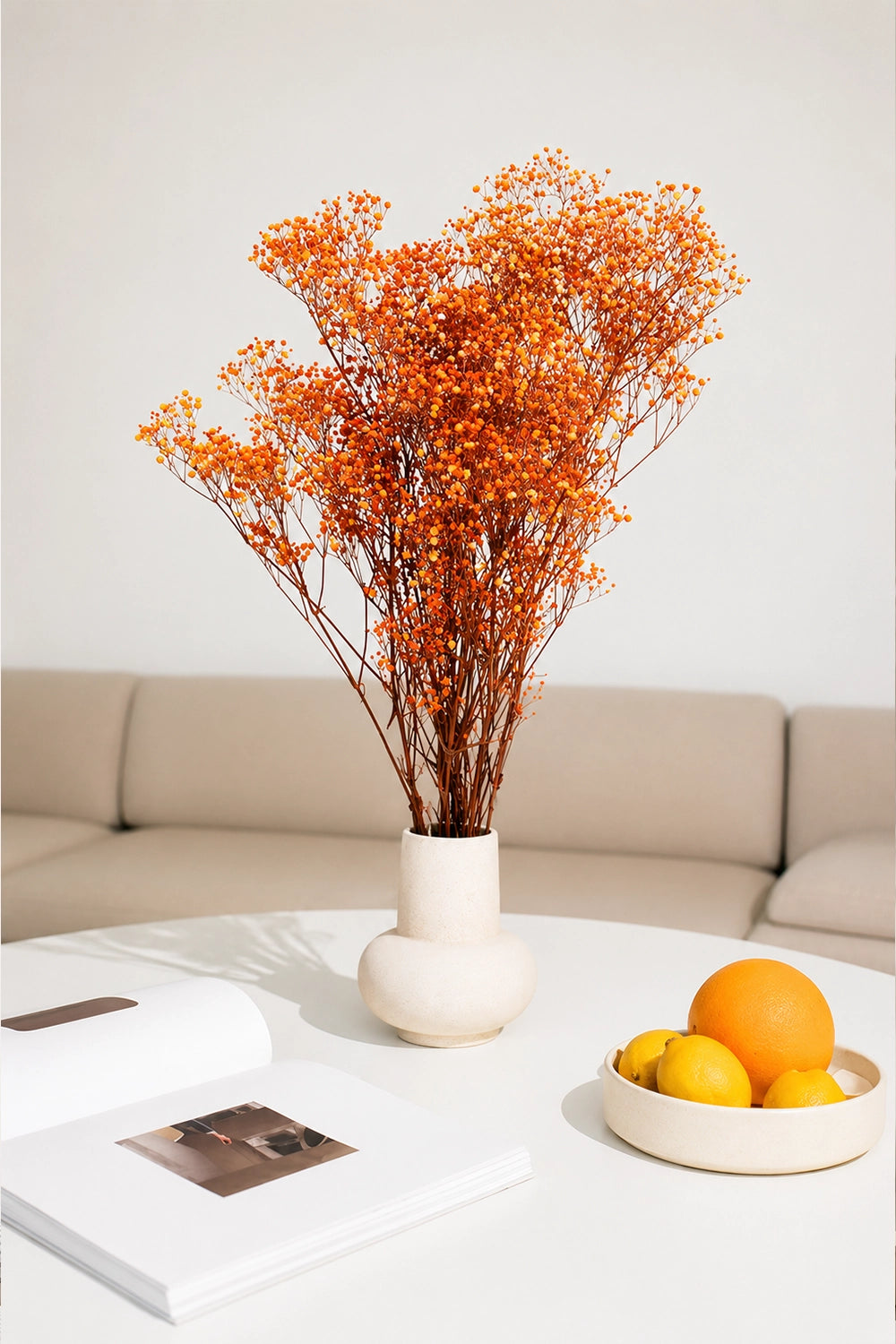Paniculata