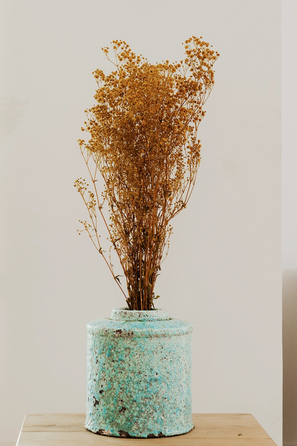 Paniculata