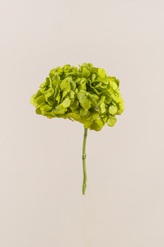 Verde pistacho