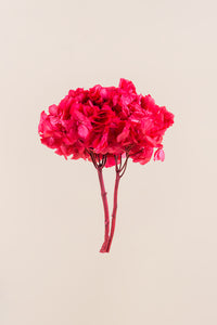 Dark Pink