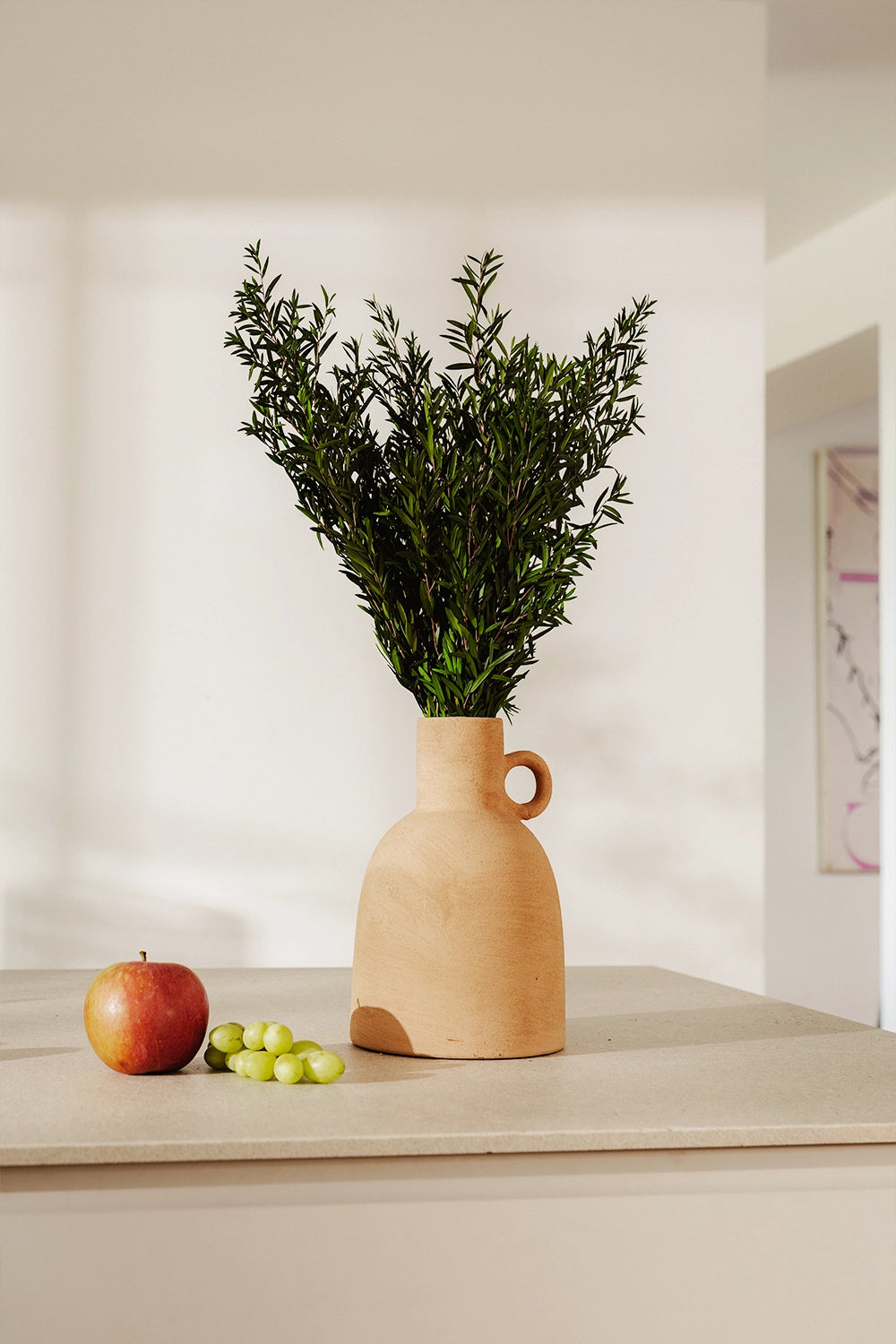 Lepto Lungifolia