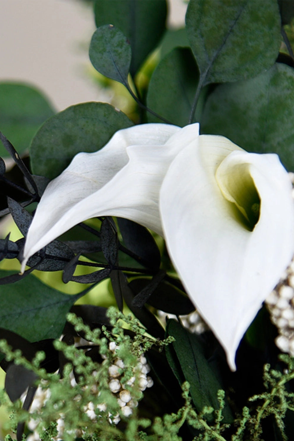 Mini Callas - Box 5 heads