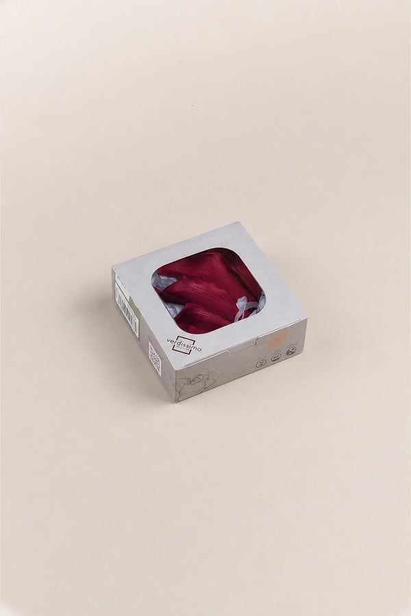 Mini Calas - Caja 5 tallos