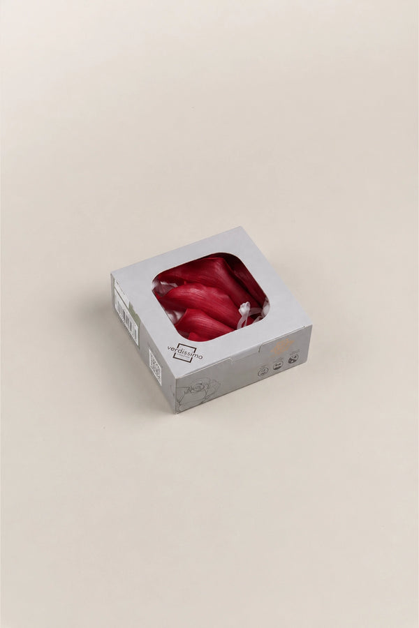 Mini Calas - Caja 5 tallos