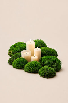 Vert foncé