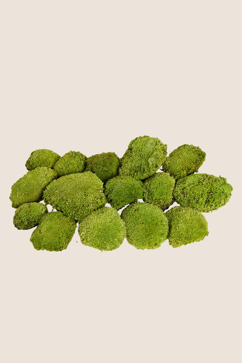 Polemoss - Bulk Box