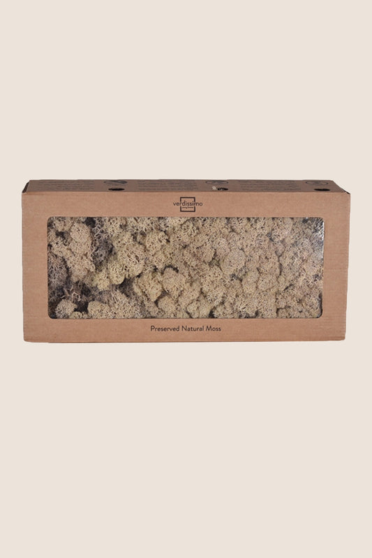 Lichen W-box