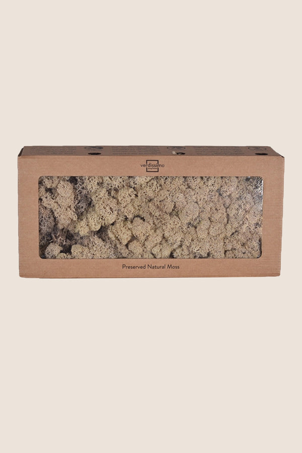 Lichen boîte W