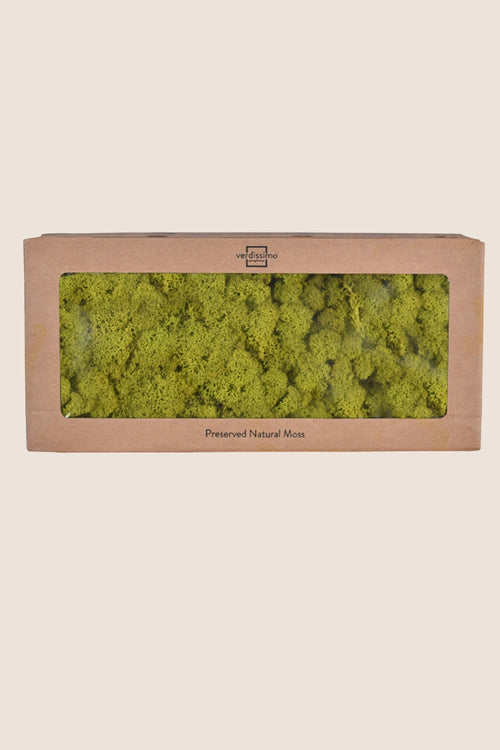 Lichen W-box