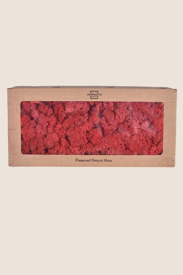 Lichen boîte W