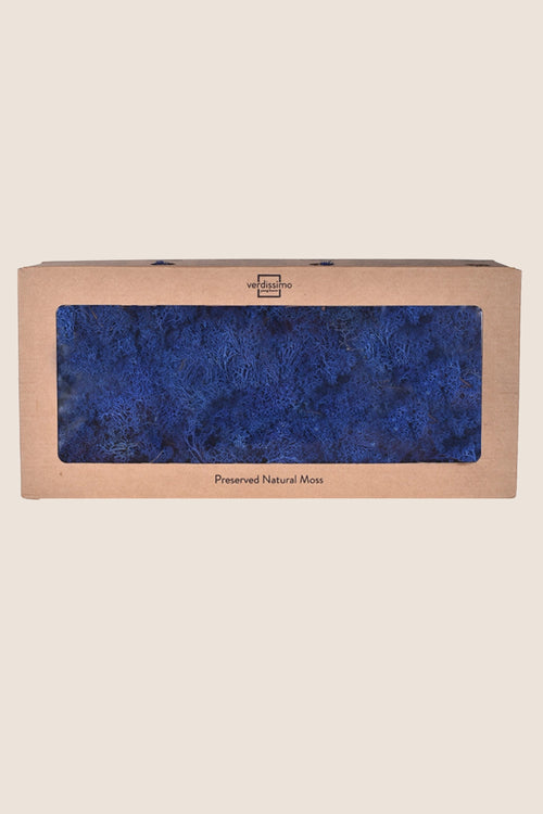 Flechte W-box