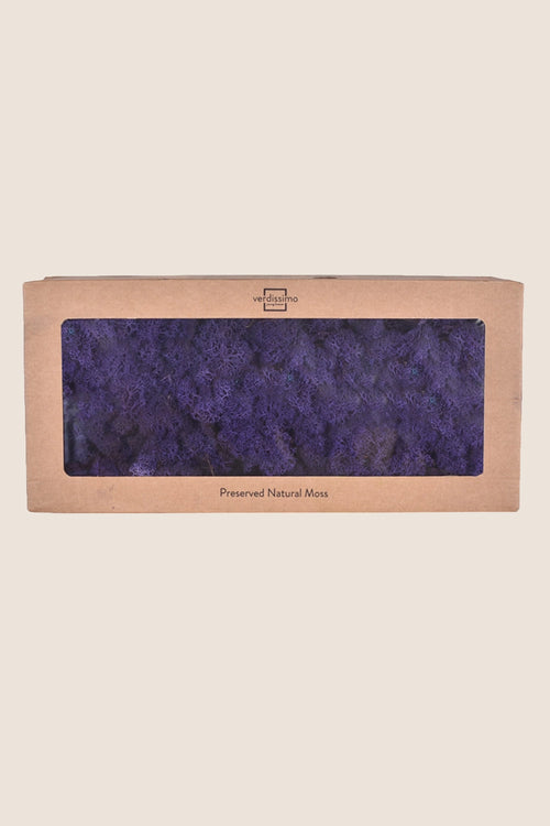 Lichen W-box
