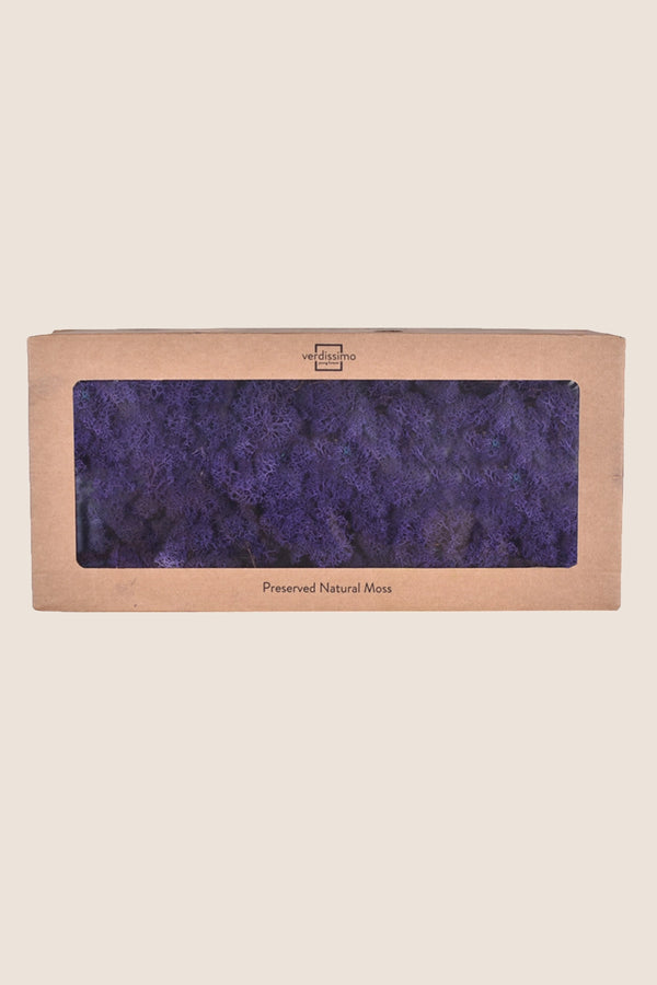 Lichen boîte W