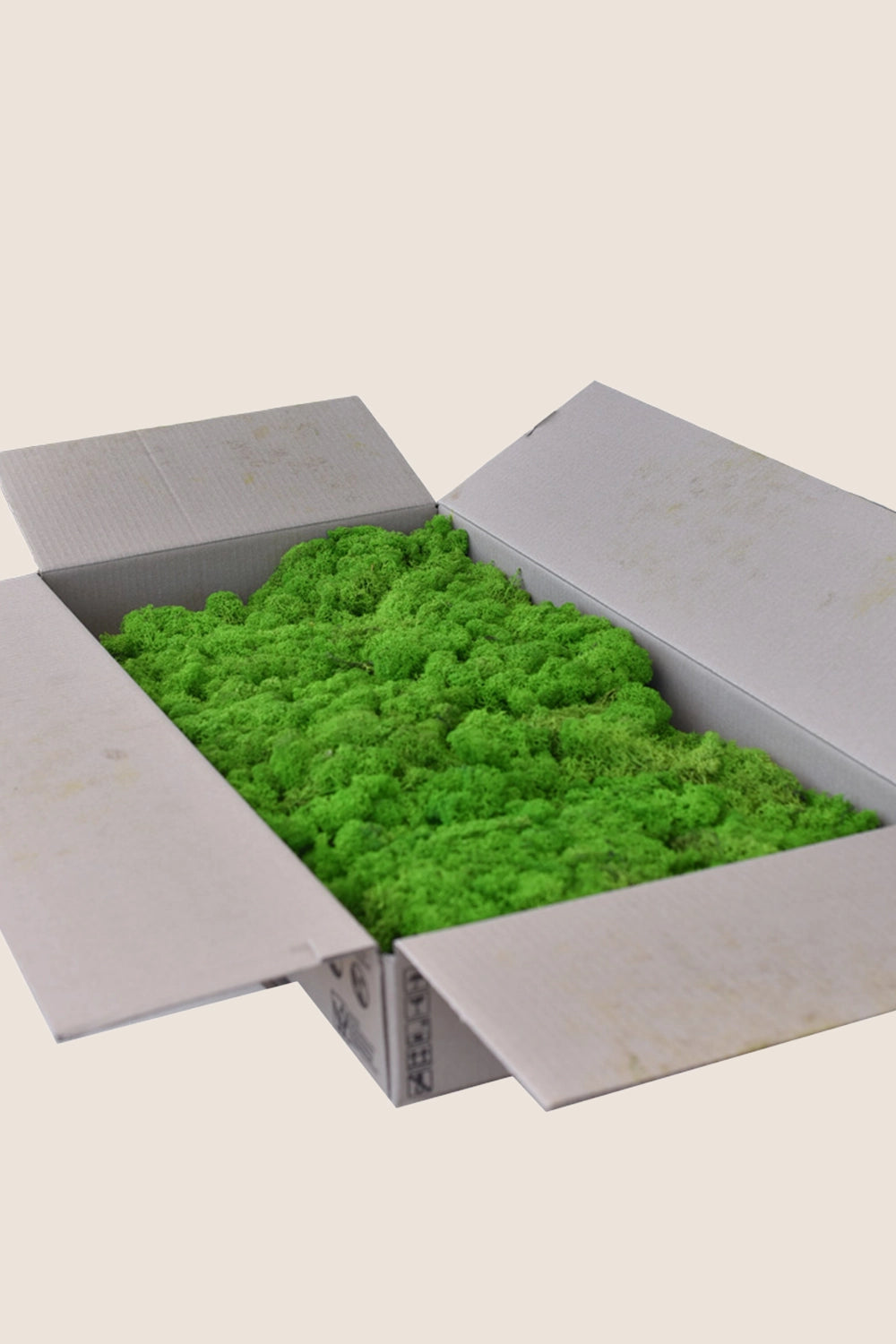 Liquen ~2Kg - Caja a Granel