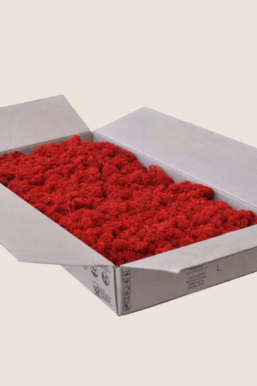 Liquen ~2Kg - Caja a Granel