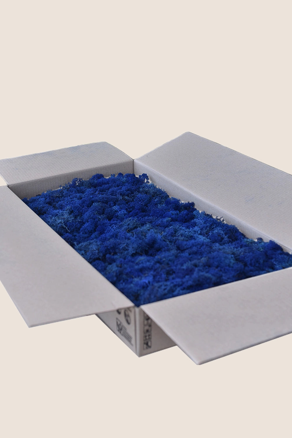 Liquen ~2Kg - Caja a Granel