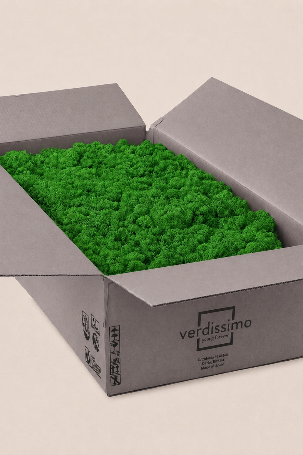 Liquen ~5Kg - Caja a Granel