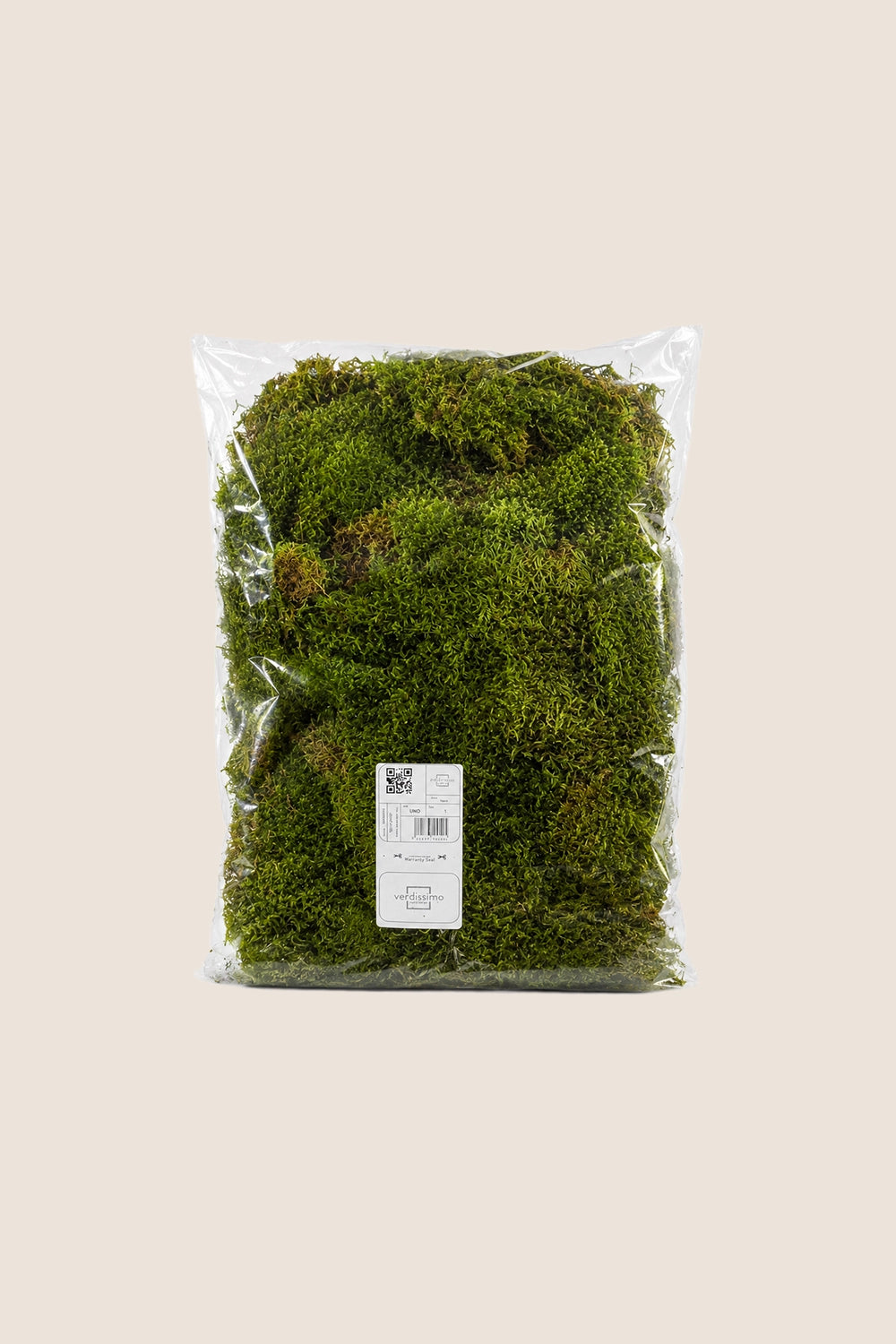 Musgo plano - Bolsa