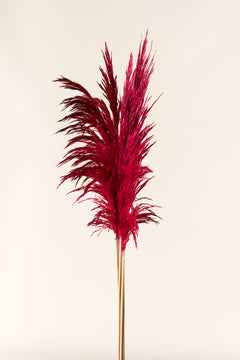 Dunkelrosa