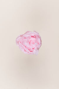 Pastel Pink