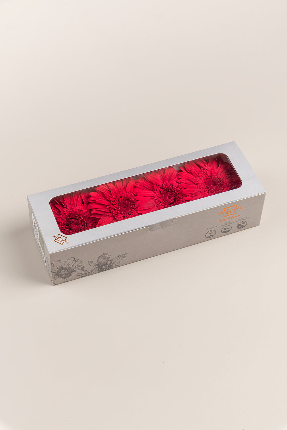 Gerberas Avec Tiges - Boîte 4 u.