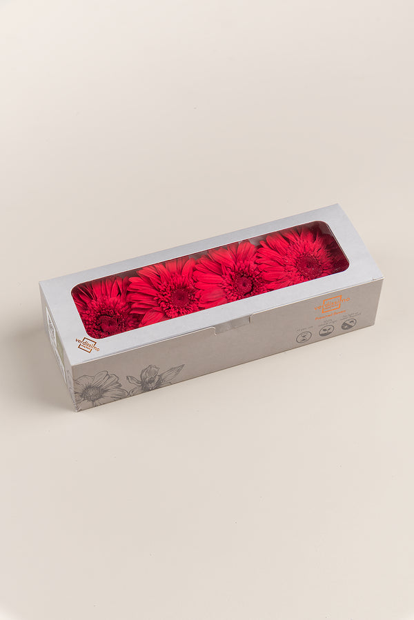 Gerbera With Stems - Box 4 u.