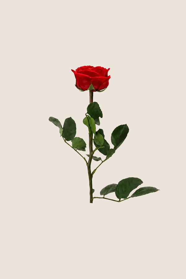 Mini rosa de tallo a granel - Paquete de 25 u.