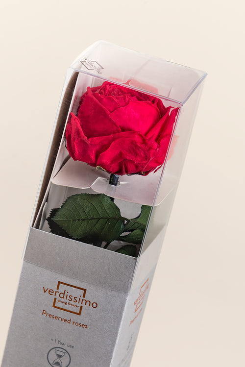 Mini Rosa de Tallo - Pack 25 ud.