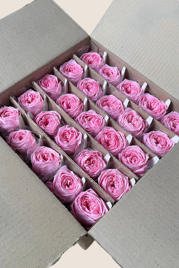 Mini rosa de tallo a granel - Paquete de 25 u.