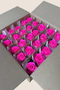 Bright Pink