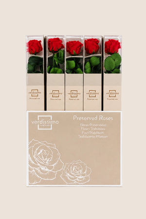 Amorosa Standard Gift Box Red - Pack 20 u.