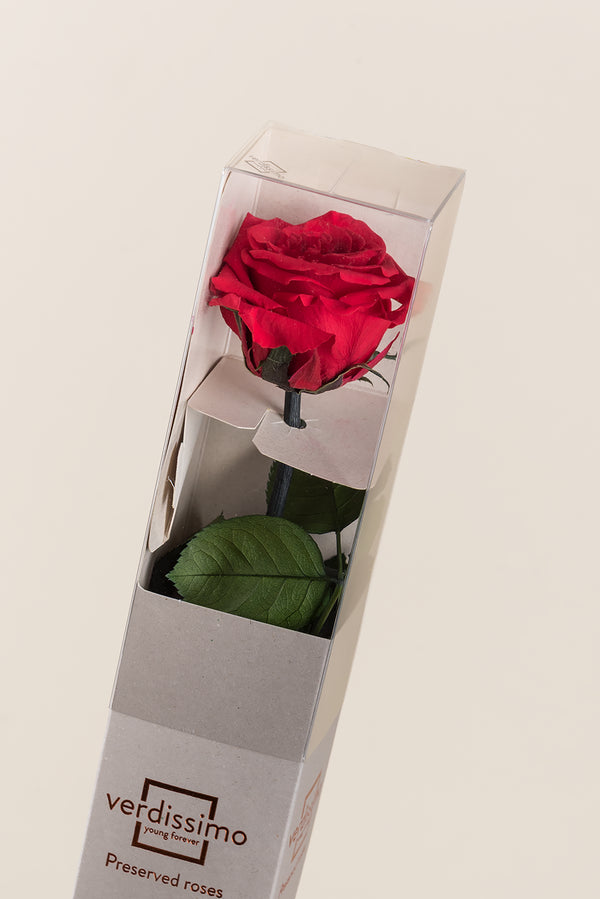 Amorosa Standard Gift Box Red - Pack 20 u.