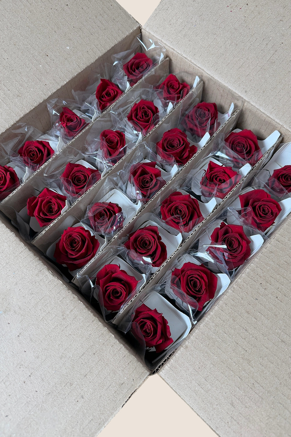 Amorosa Mini Bulk - Pack 25 u.